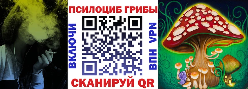 Галлюциногенные грибы Psilocybe  как найти наркотики  Сланцы 