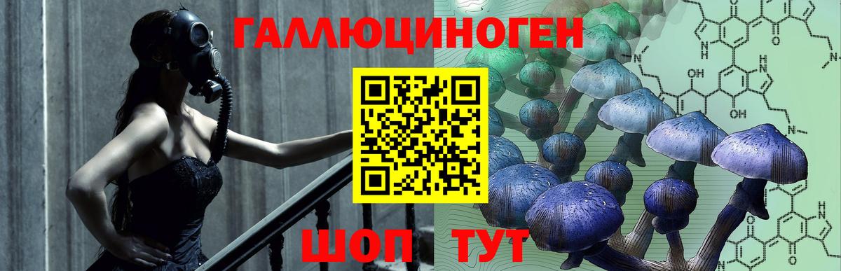 Сланцы  Галлюциногенные грибы Cubensis  Вход с VPN 